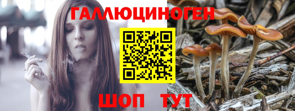 Галлюциногенные грибы Magic Shrooms  Вход с VPN  Галлюциногенные грибы ЛСД  Новотроицк 